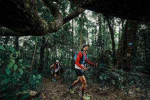 BIB: 
                            <button type="button" onclick="openModal(25391170)" class="btn btn-primary btn-sm float-right btn-popup" data-toggle="modal" data-target=".modal-high-quality">
                        <i class="fas fa-shopping-cart"></i> Add to Cart
                    </button>
                                            <button type="button" onclick="isThisMe(25391170, true)" class="btn btn-success btn-sm float-right btn-popup btn-isme hidden" data-toggle="tooltip" data-placement="bottom" title="นี่คือรูปของคุณใช่ไหม คลิกที่นี่เพื่อเอาเข้าอัลบั้ม">
                        <i class="fas fa-plus"></i> Add to album
                    </button>
                    <button type="button" onclick="isThisMe(25391170, false)" class="btn btn-warning btn-sm float-right btn-popup btn-isnotme hidden">
                        <i class="fas fa-ban"></i> Remove from album
                    </button>